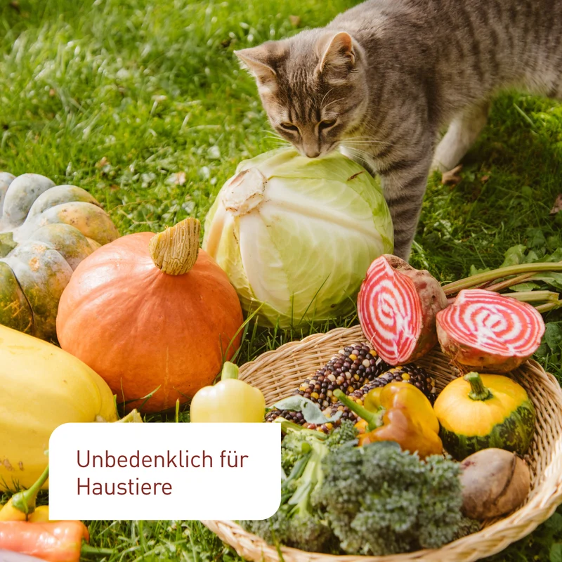 Bio-Komposterde Torffrei 62,5 L