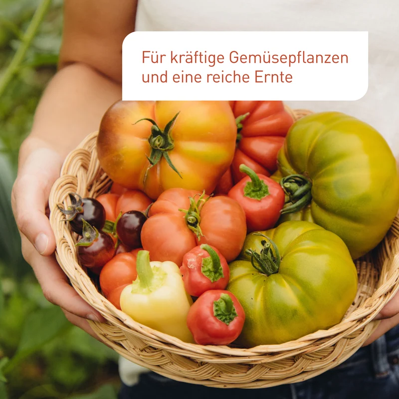 Bio-Tomaten- & Gemüsedünger 800 ml