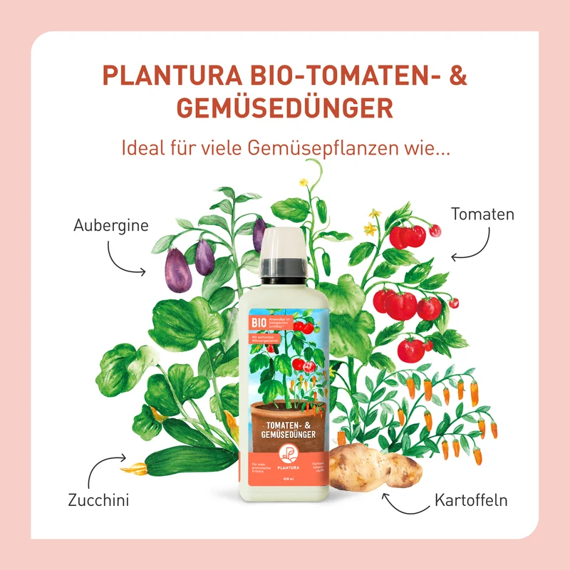 Bio-Tomaten- & Gemüsedünger 800 ml