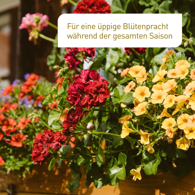 Bio-Blumen- & Balkondünger 800 ml