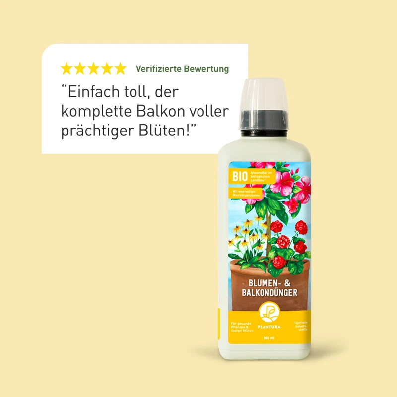 Bio-Blumen- & Balkondünger 800 ml