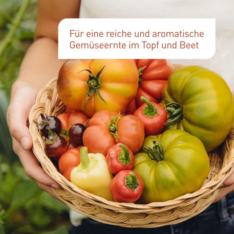 Bio-Tomaten- & Gemüseerde Torffrei 40 L