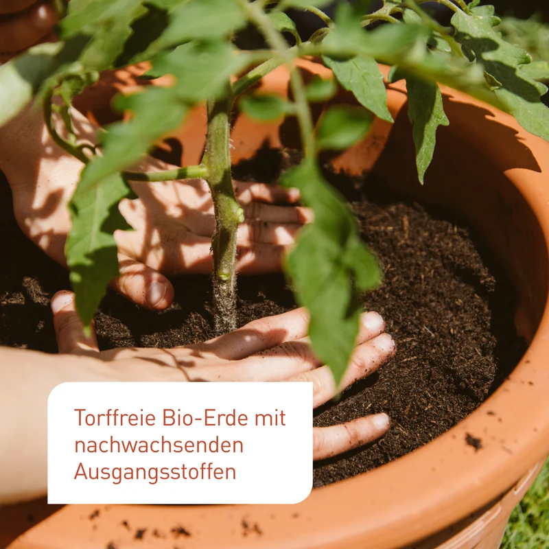 Bio-Tomaten- & Gemüseerde Torffrei 40 L