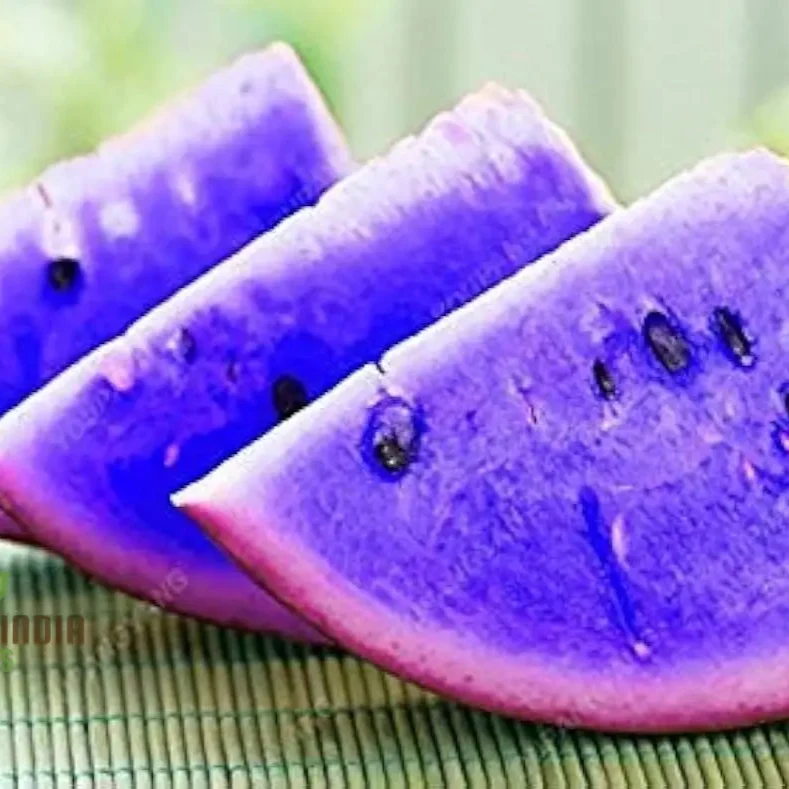 Giant Sweet Watermelon Seeds