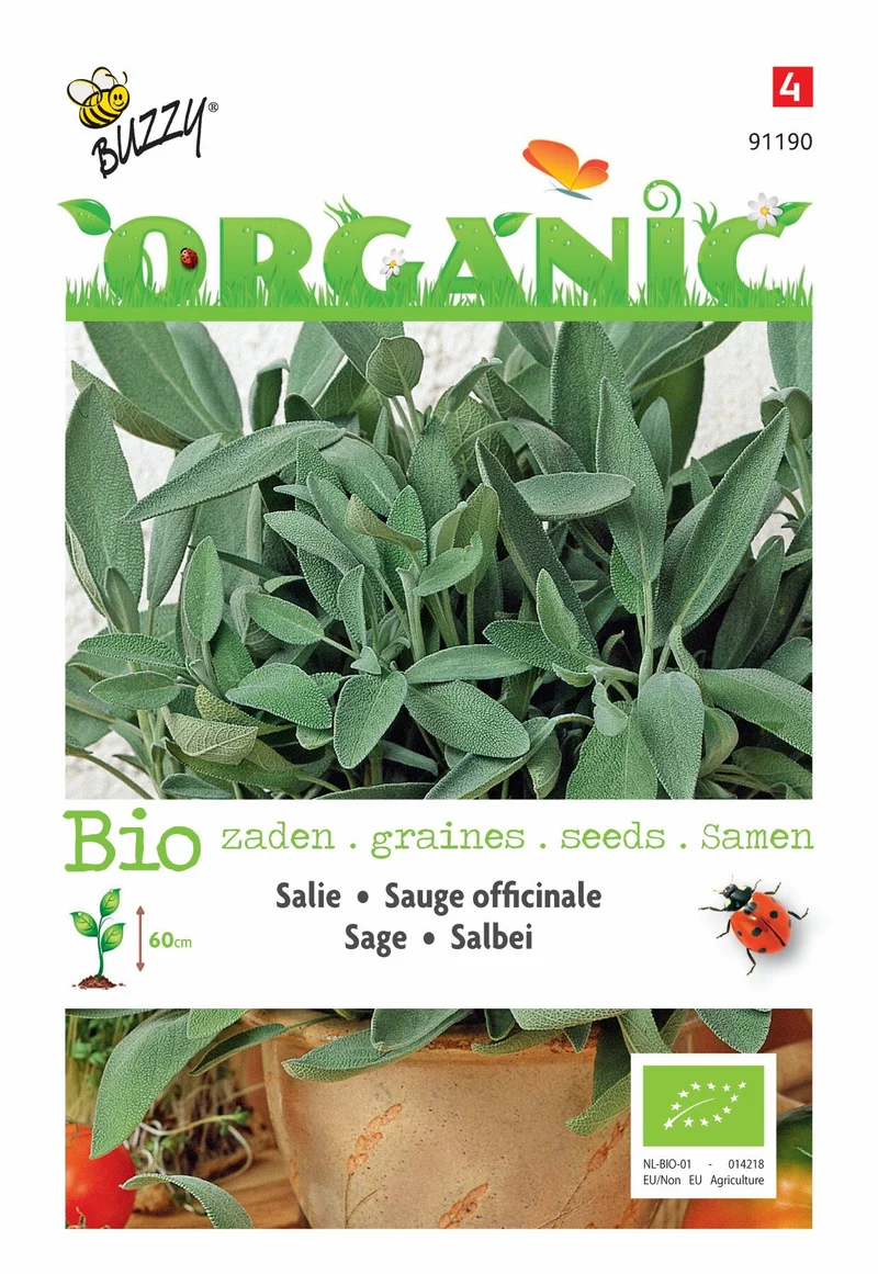 Salbei (Bio)