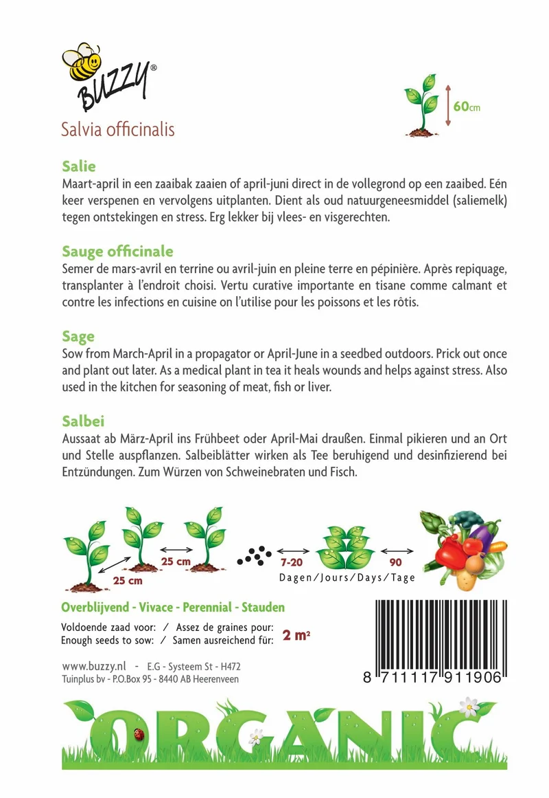 Salbei (Bio)