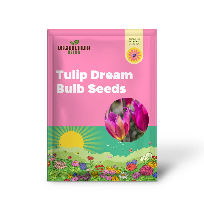 Tulip Purple Dream Bulb Seeds for Vibrant Garden Blooms | Premium Gardening Seeds
