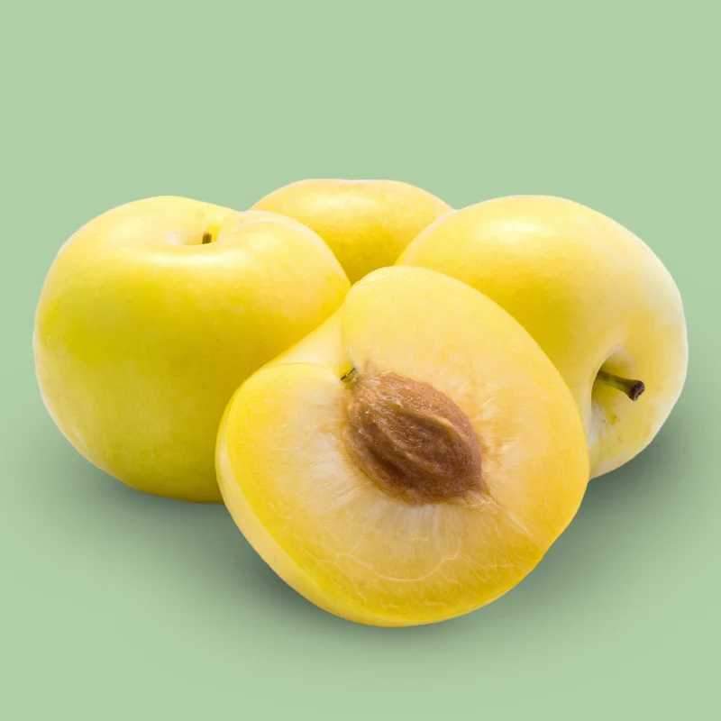 Bio-Pflaumenbaum 'Oullins Reneklode'
