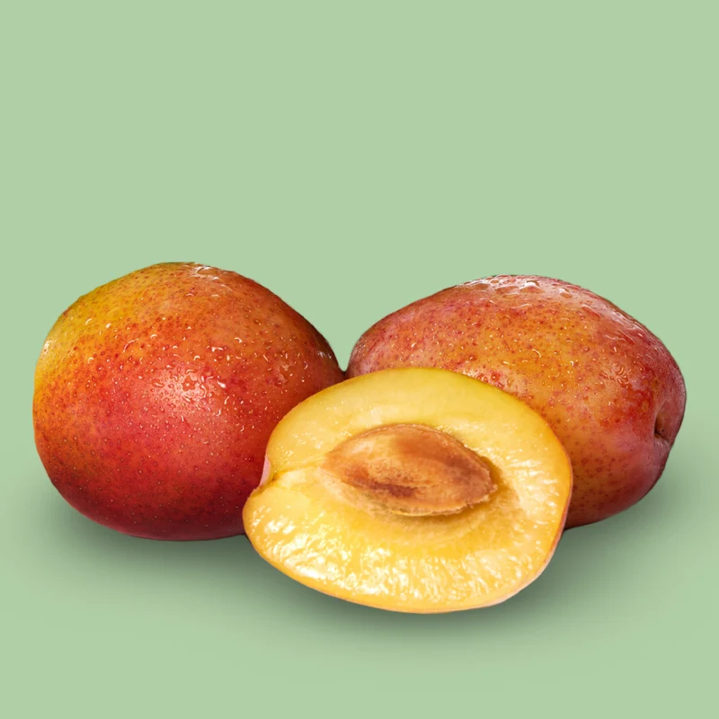 Bio-Pflaumenbaum 'Königin Viktoria'