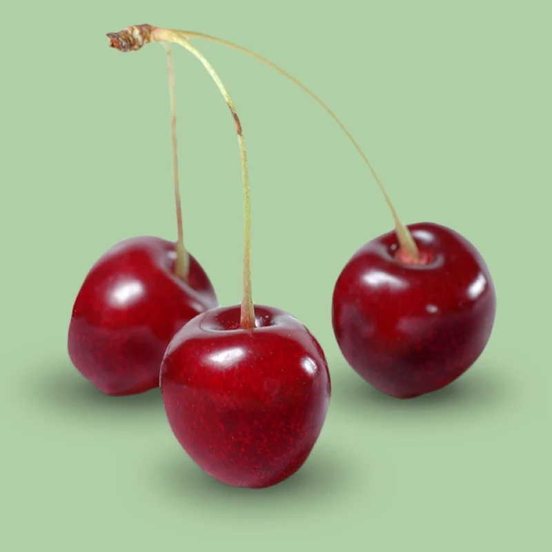 Bio-Sauerkirschbaum 'Morellenfeuer'