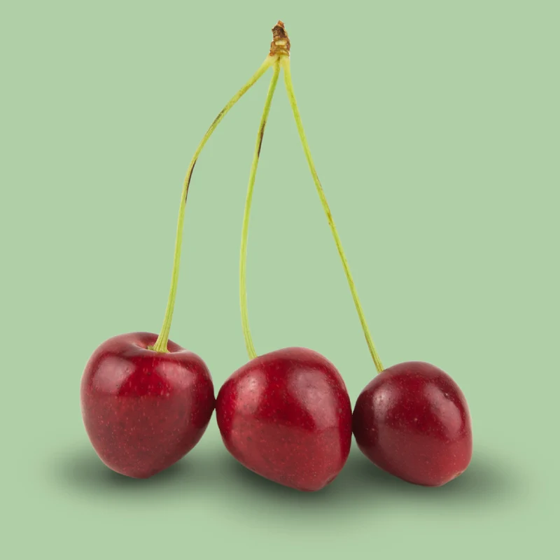 Bio-Kirschbaum 'Erika'
