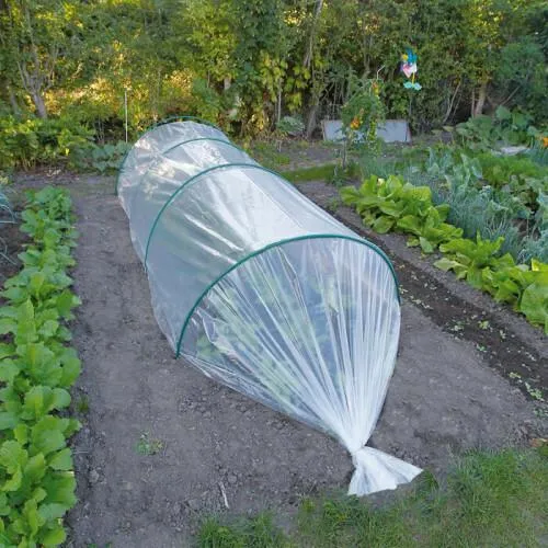 Transparente Wachstums- und Deckfolie