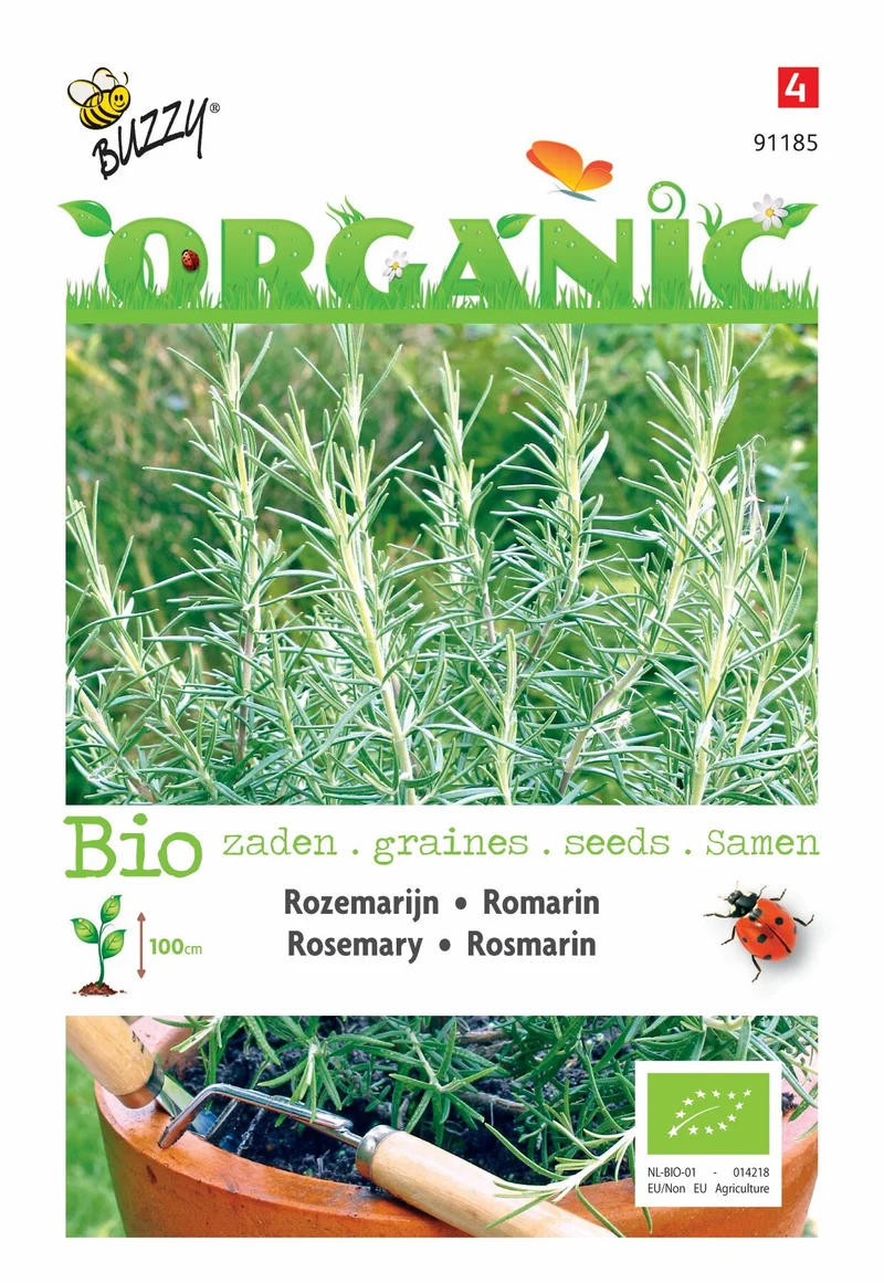 Rosmarin (Bio)