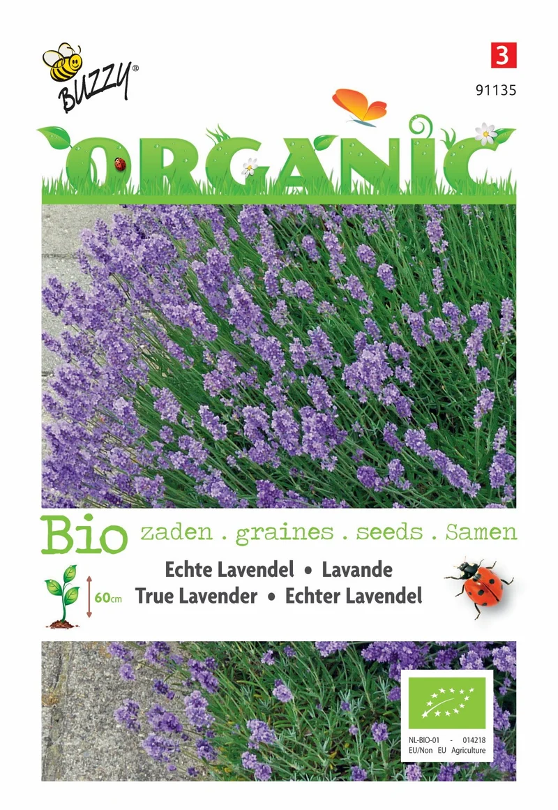 Echter Lavendel (Bio)