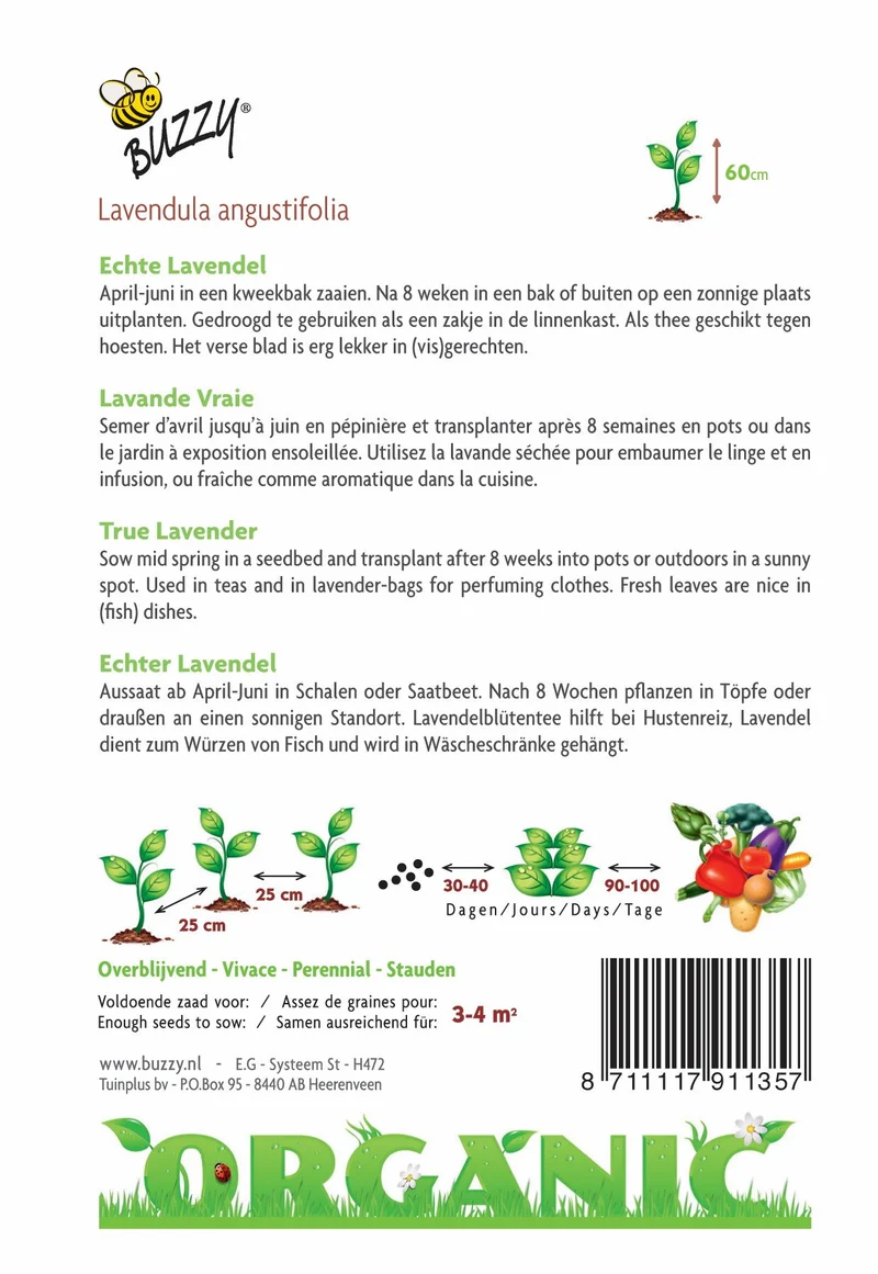 Echter Lavendel (Bio)