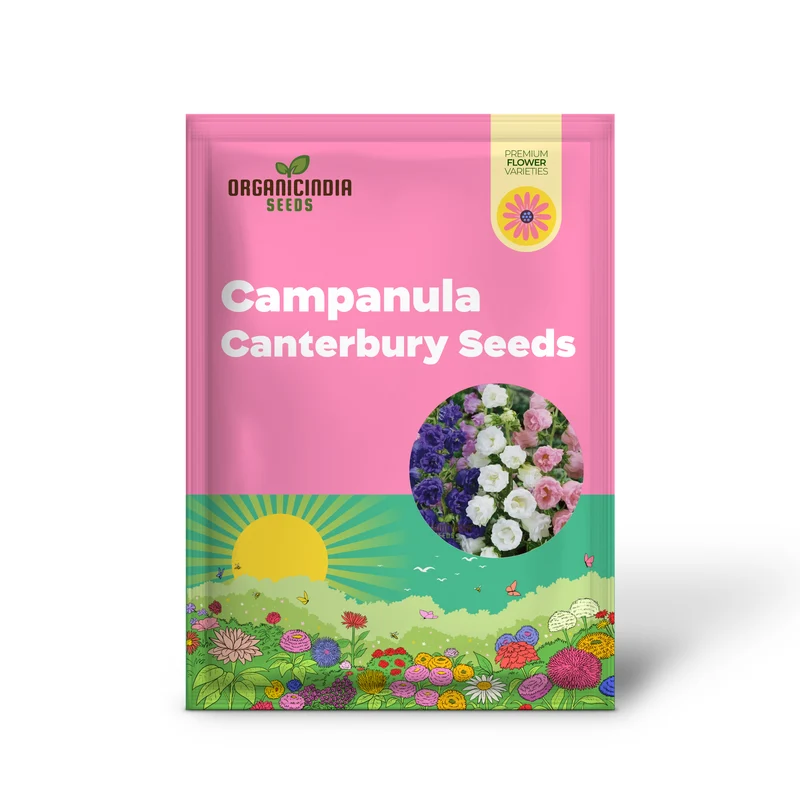Campanula Seeds (Canterbury Bells Cup and Saucer Mix) - Colorful Tall Blooms for Gardens