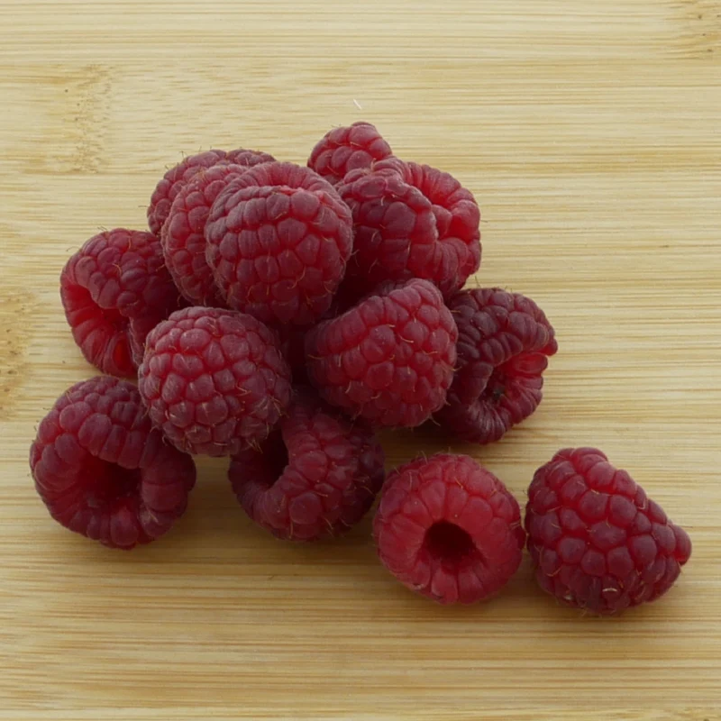 Bio-Himbeere 'Willamette'