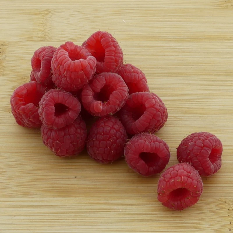 Bio-Himbeere 'Meeker'