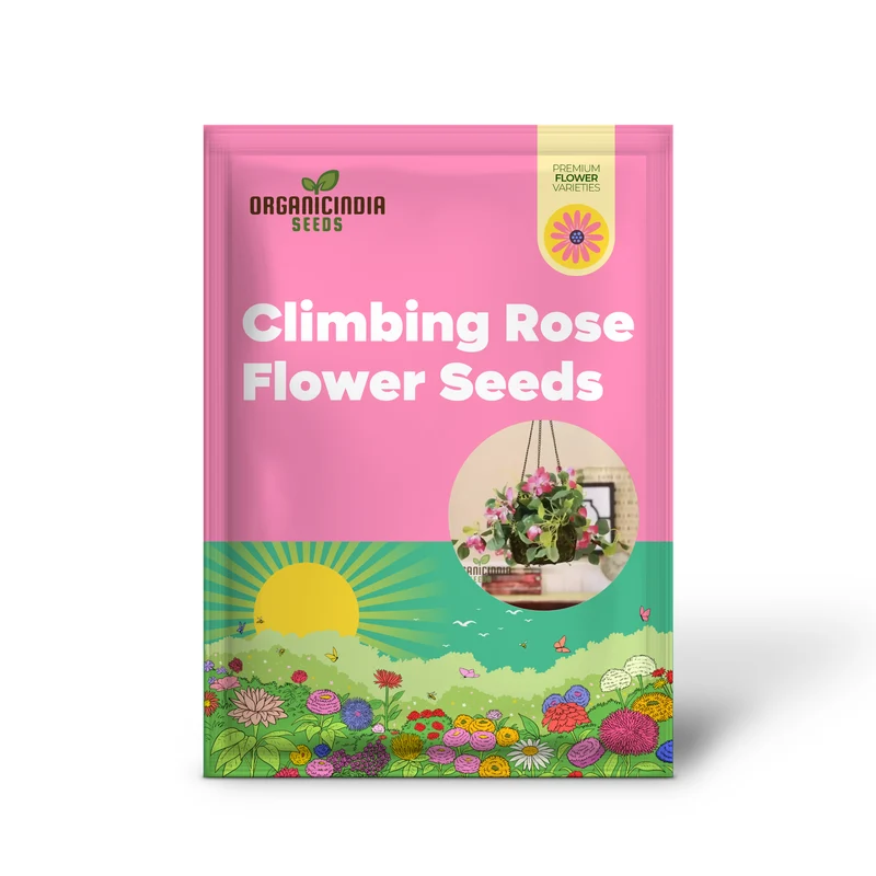 Rare Climbing Rose Seeds – Vigorous Vertical Garden Blooms