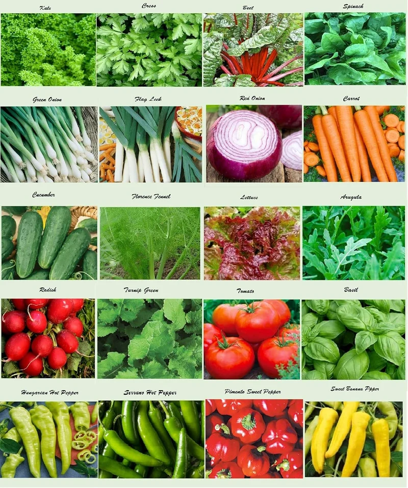 Organic Vegetable Seeds Combo - 10 Varieties, For Gardening Enthusiasts