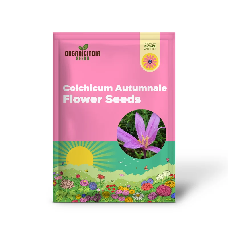 Colchicum Autumnale 'Lilac Wonder' Flower Seeds for Planting, Premium Quality for Gardening