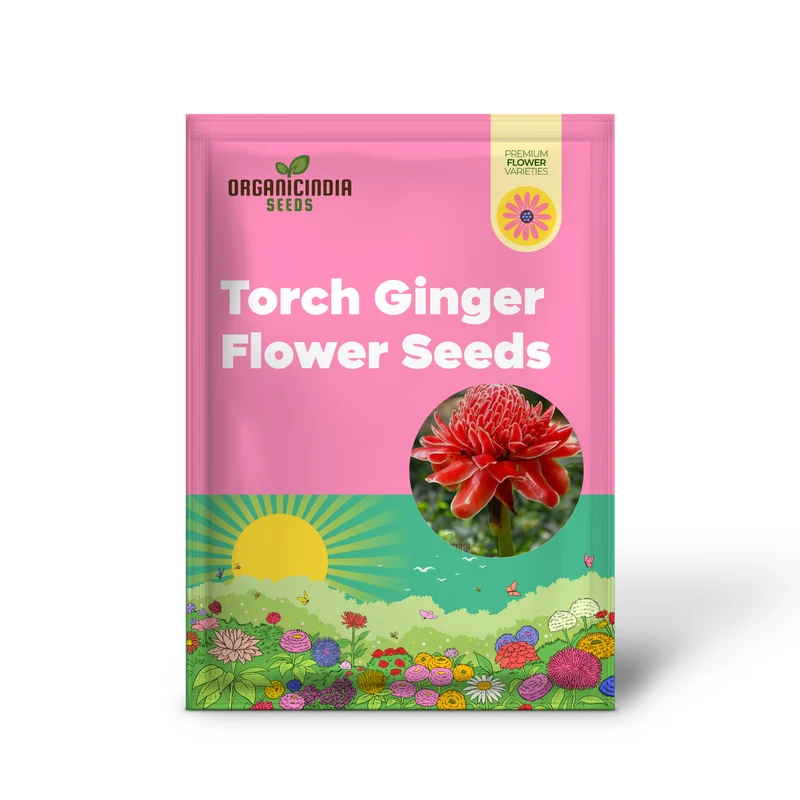 Torch Ginger Seeds (Ville Red Torch Ginger Flower Seeds) - Vibrant Exotic Blooms for Gardens