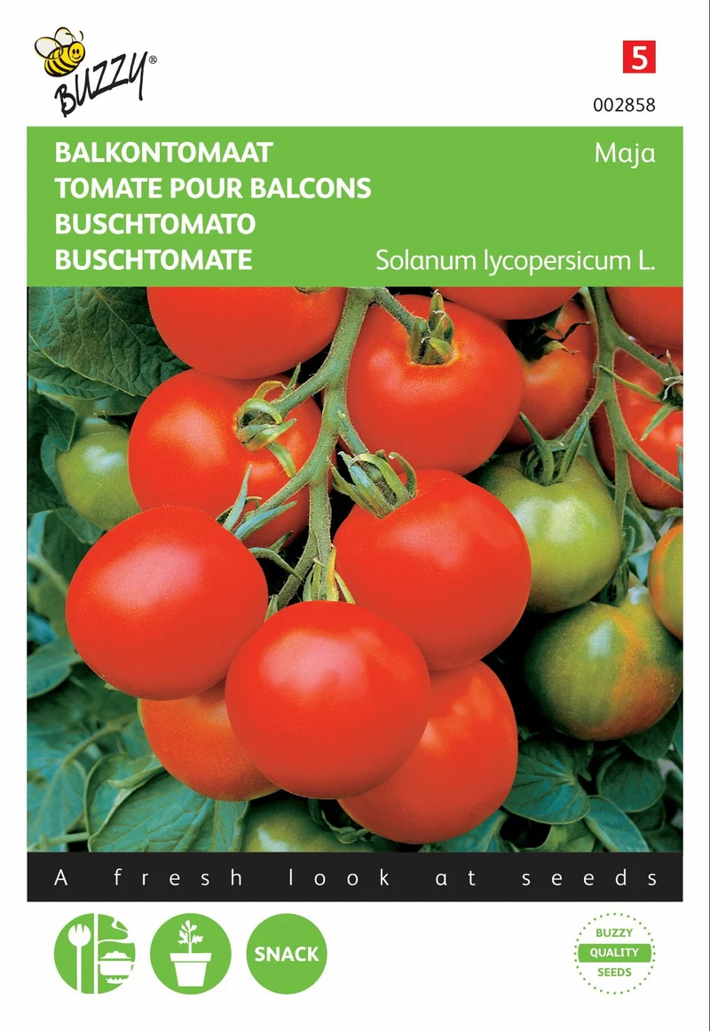 Balkontomate Maja