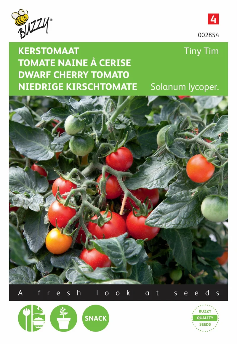 Kirschtomate Tiny Tim