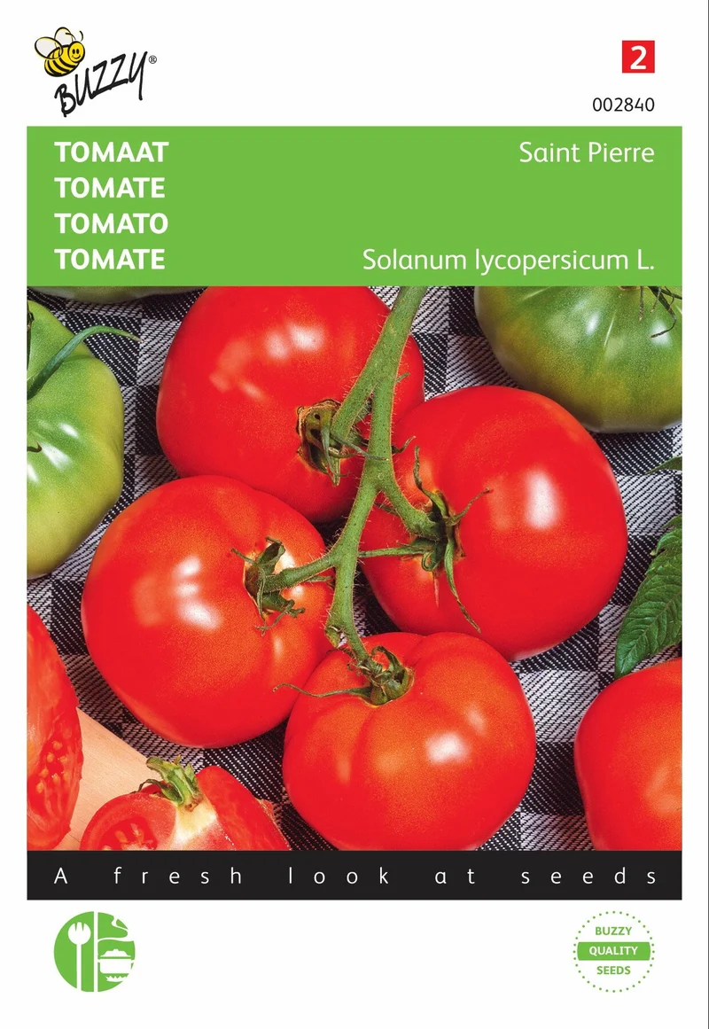 Tomatensorte Saint Pierre, großflächig im Freiland angebaut