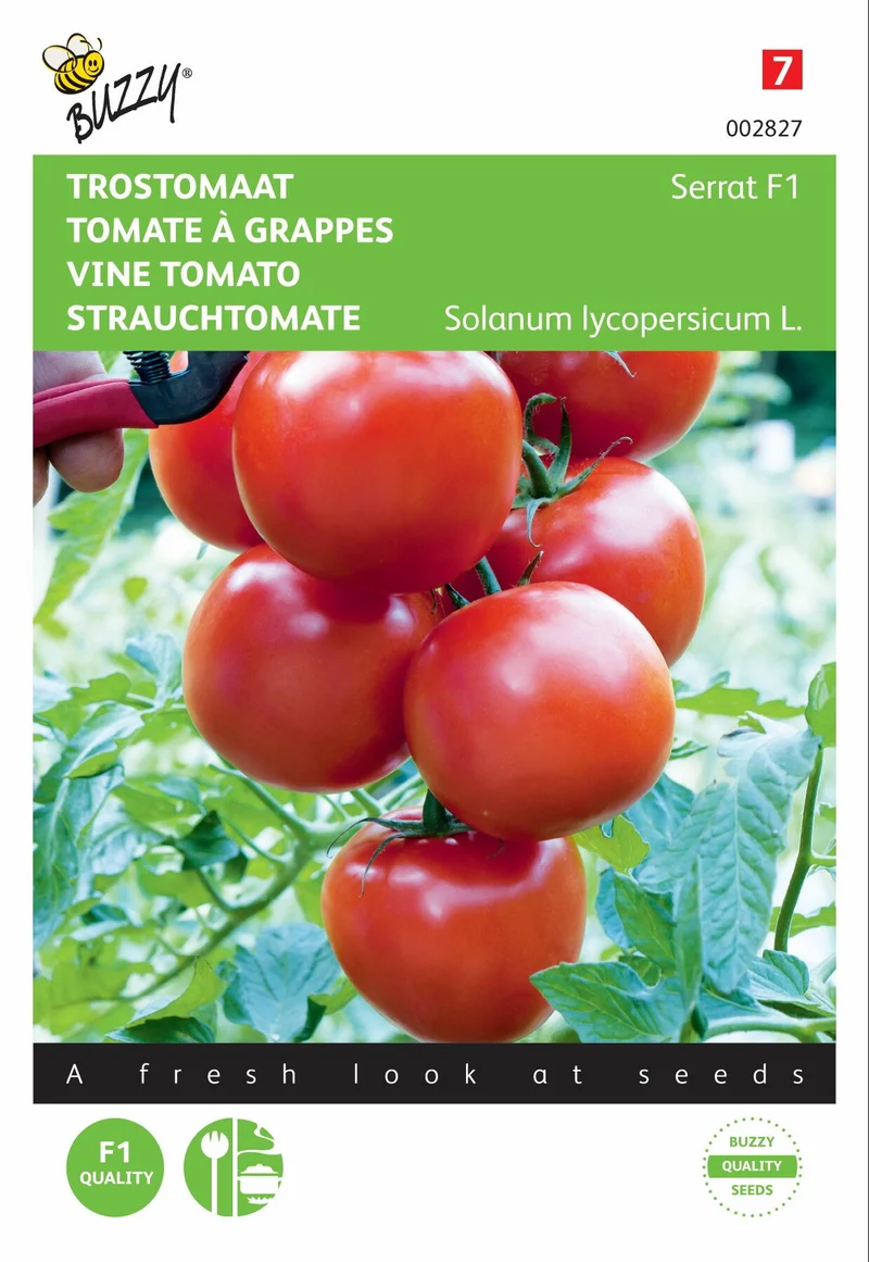 Kirschtomate Serrat F1