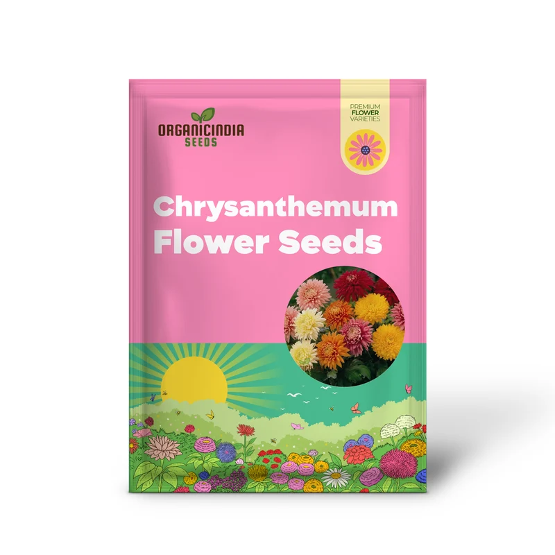 Margherita Bella Chrysanthemum Seeds - 100 pcs