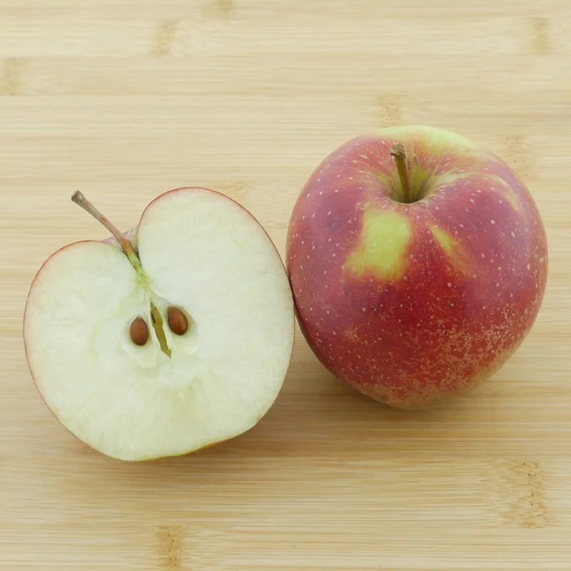Bio-Apfelbaum 'Wellant'® Winterapfel