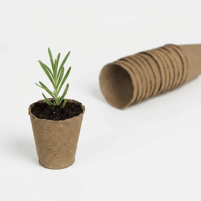 Biologisch abbaubare Töpfe, H 8,5 x Ø 8 cm, 15 Stück