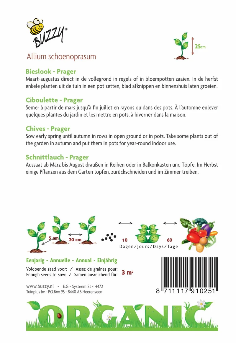 Schnittlauch Prag (Bio)
