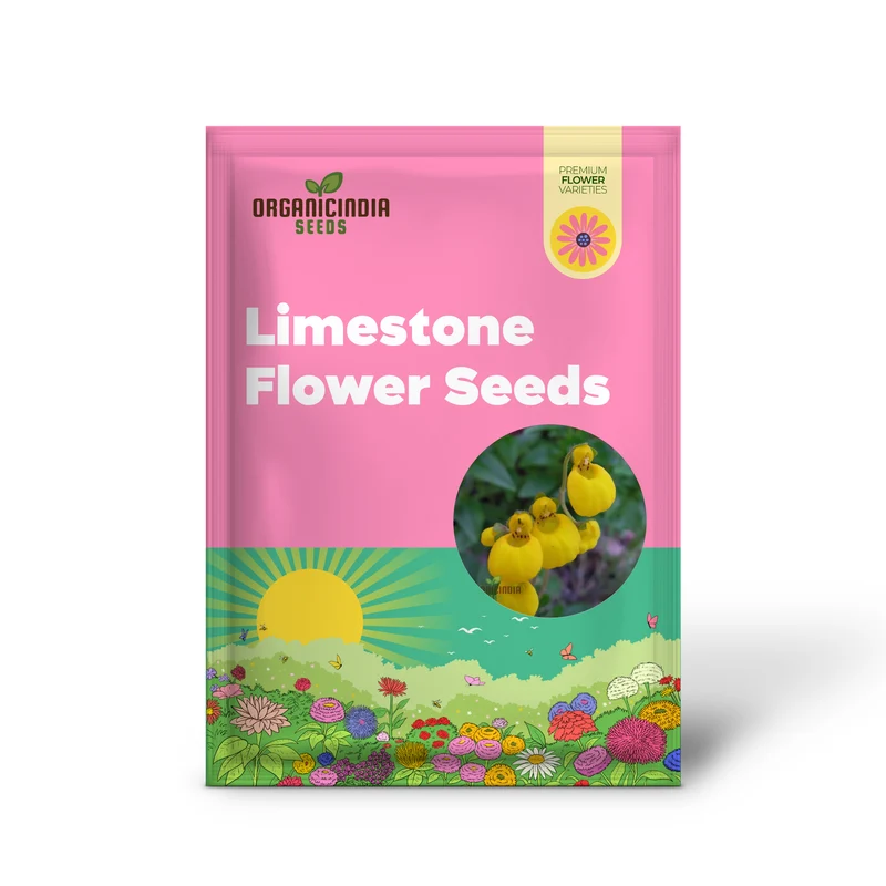 Cap Gold Pocketbook Semi-Limestone Flower Seeds for Planting 100 pcs
