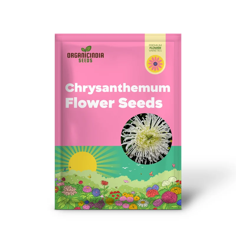Chrysanthemum Seeds (Semi Bonsai Chrysanthemum Seeds) - Compact Colorful Blooms for Gardens