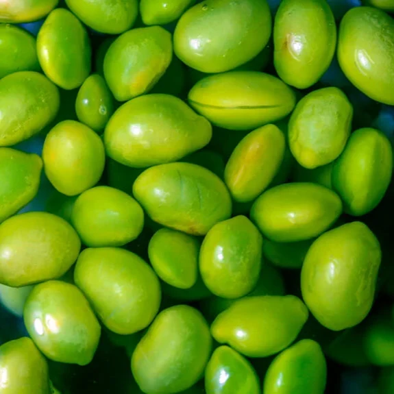 Midori Giant Edamame Soybean Seeds for Planting
