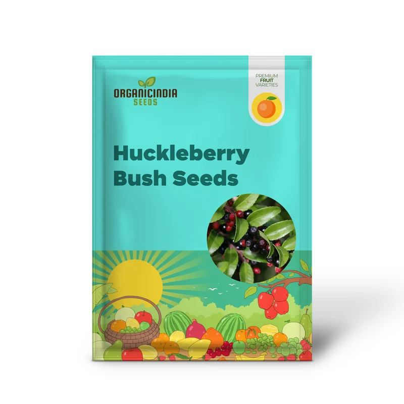 Evergreen Huckleberry Bush Seeds, Planting Fruit Seeds - 100 pcs