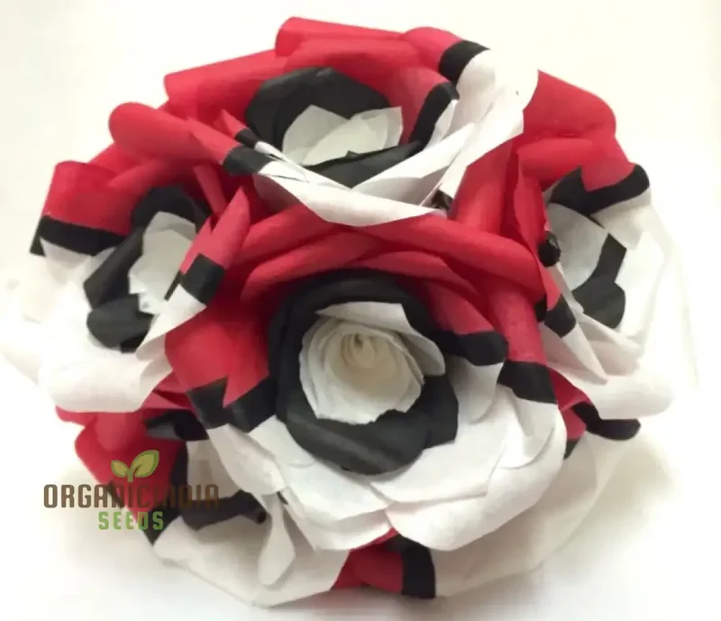 Rare Red White Black Hybridization Rose Flower Seeds | Home Plant Garden Decor | Flowers Seeds for Gardening Enthusiasts