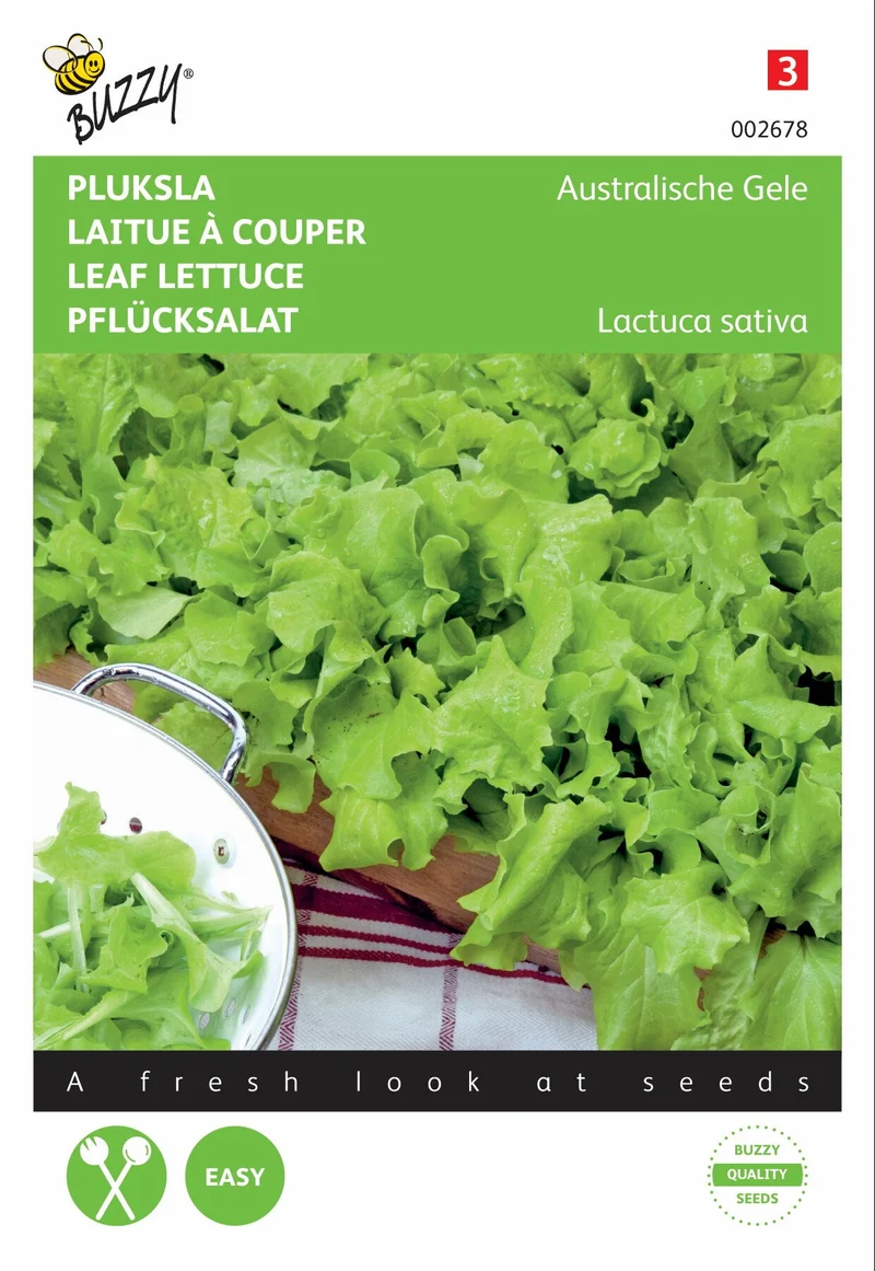 Australischer gelber Salat