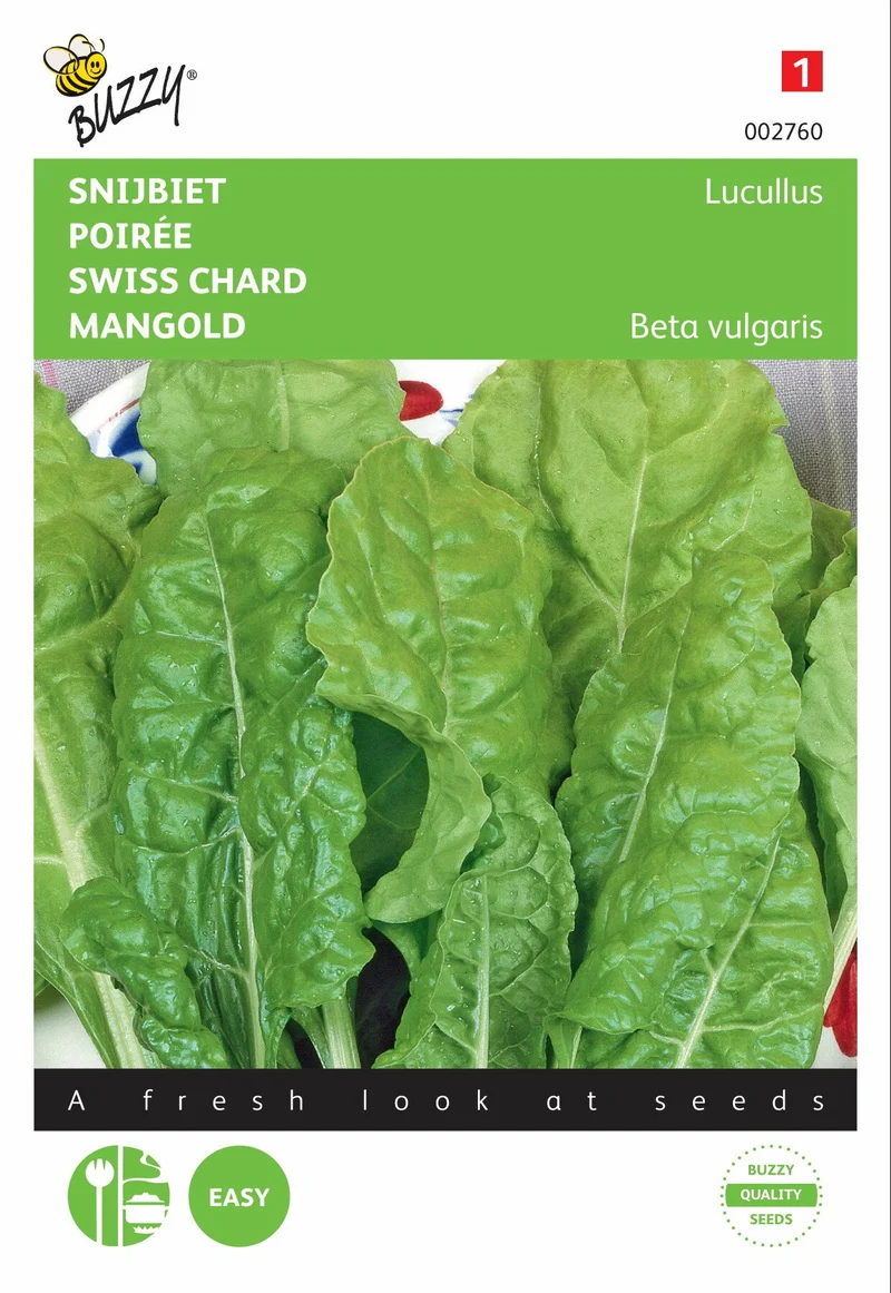 Mangold Lucullus