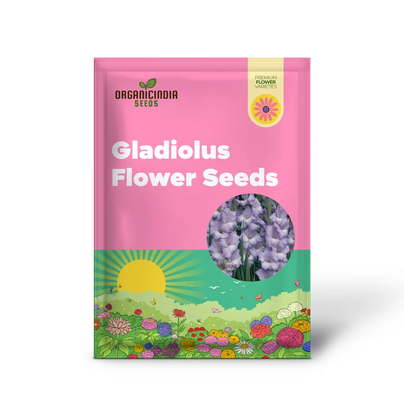 Gladiolus Vera Lynn Flower Seeds For Planting, Elegant Pink Gladiolus for a Beautiful and Vibrant Garden Display