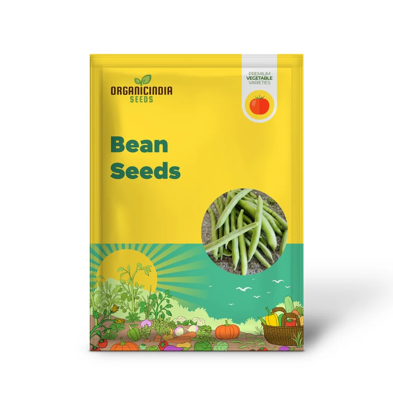 Organic Broad Bean Seeds - Aquadulce Claudia for Gardening Enthusiasts | Premium Quality Heirloom Seeds