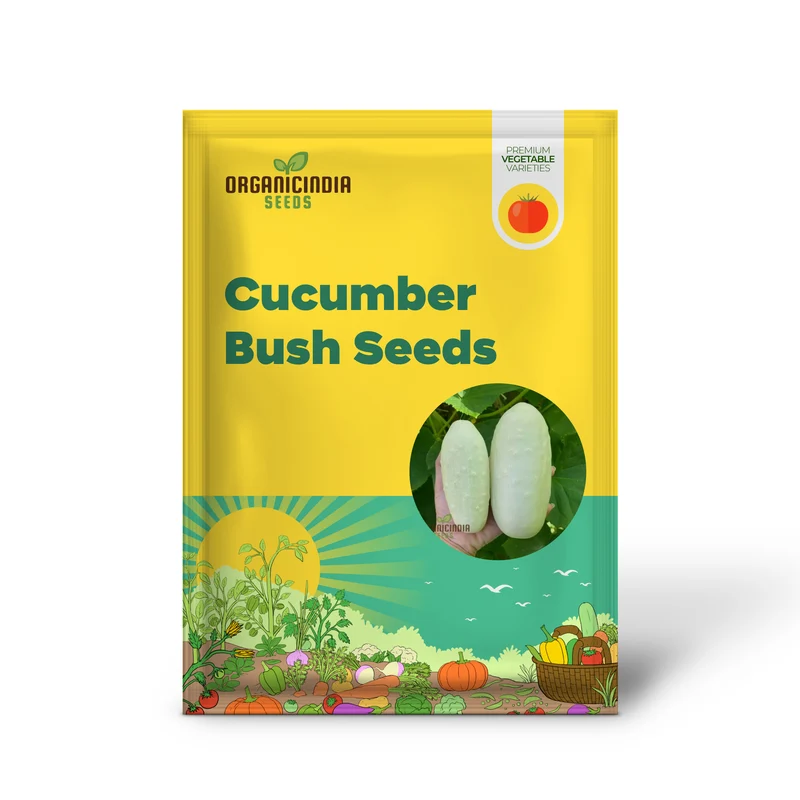 Cucumber Bush Seeds for Patio Vegetable Planting (100 pcs)