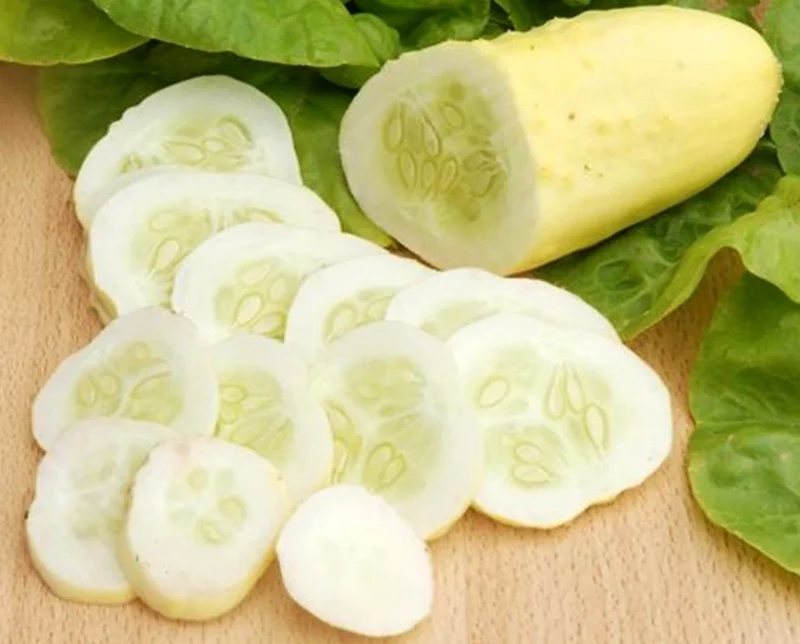 Cucumber Bush Seeds for Patio Vegetable Planting (100 pcs)