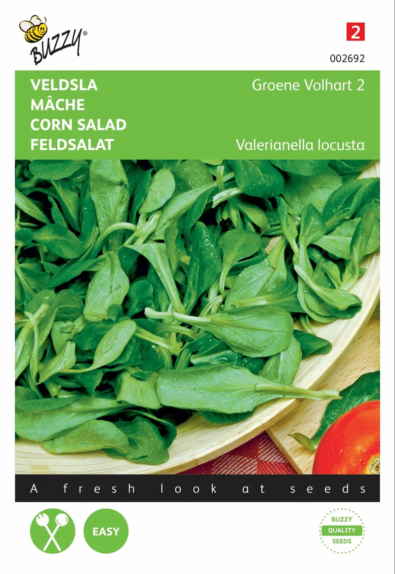 Feldsalat Green Volhart 2