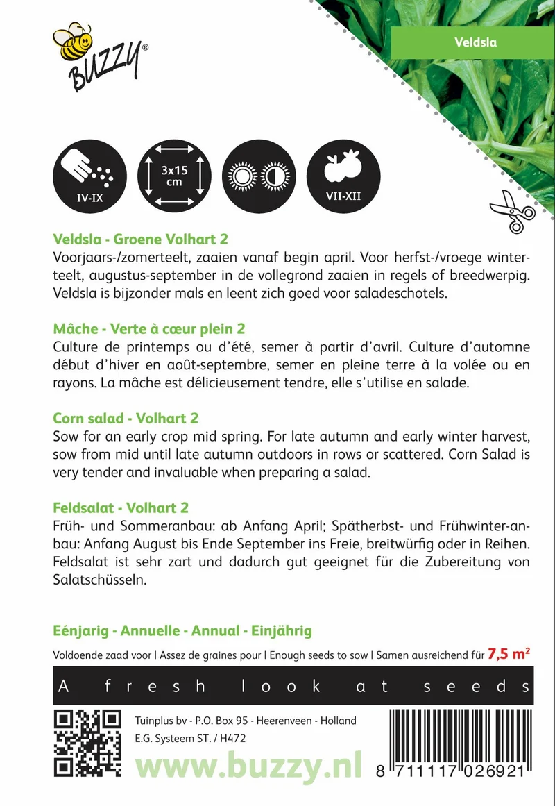 Feldsalat Green Volhart 2