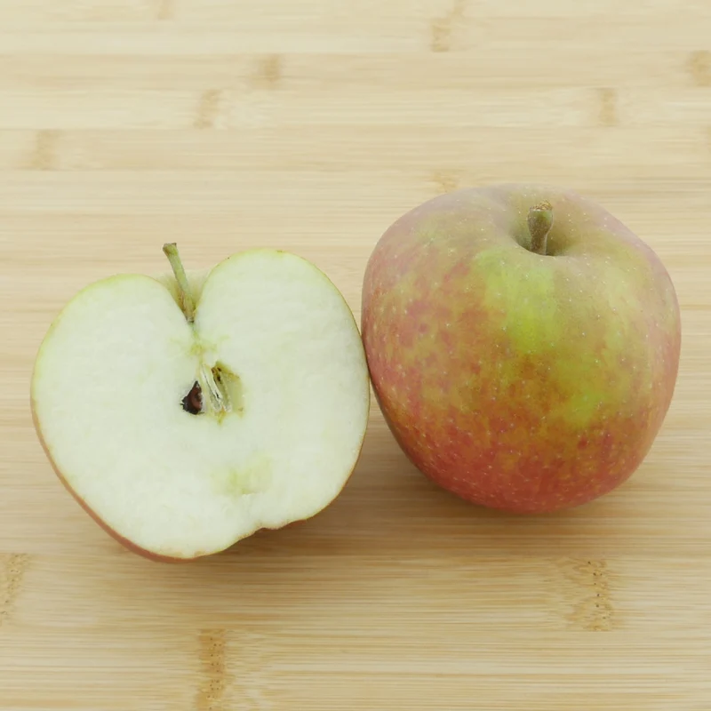 Bio-Apfelbaum 'Boskoop' Winterapfel