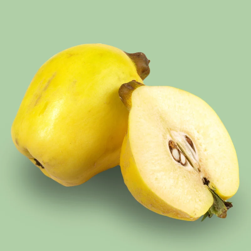 Bio-Quitte 'Robusta'