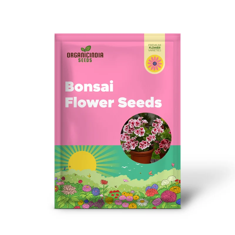 Geranium Pelargonium Bonsai Flower Seeds for Planting 100 pcs